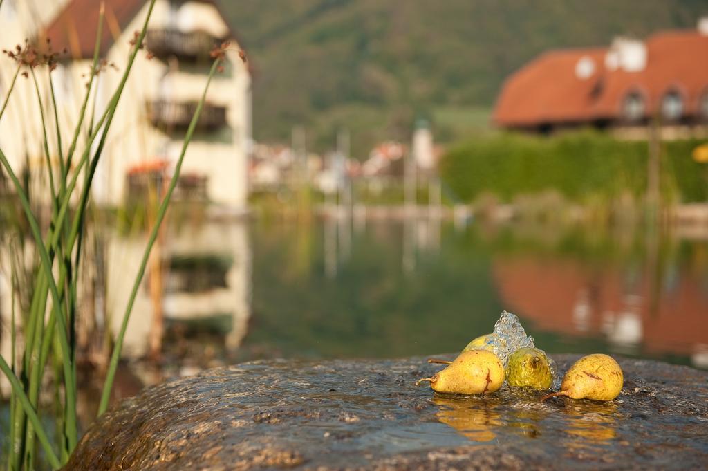 Romantikhotel Residenz Wachau Aggsbach Buitenkant foto